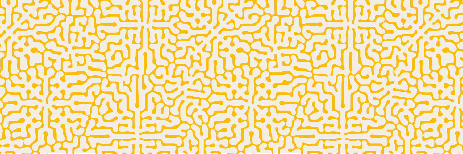Prime Mind Product Review