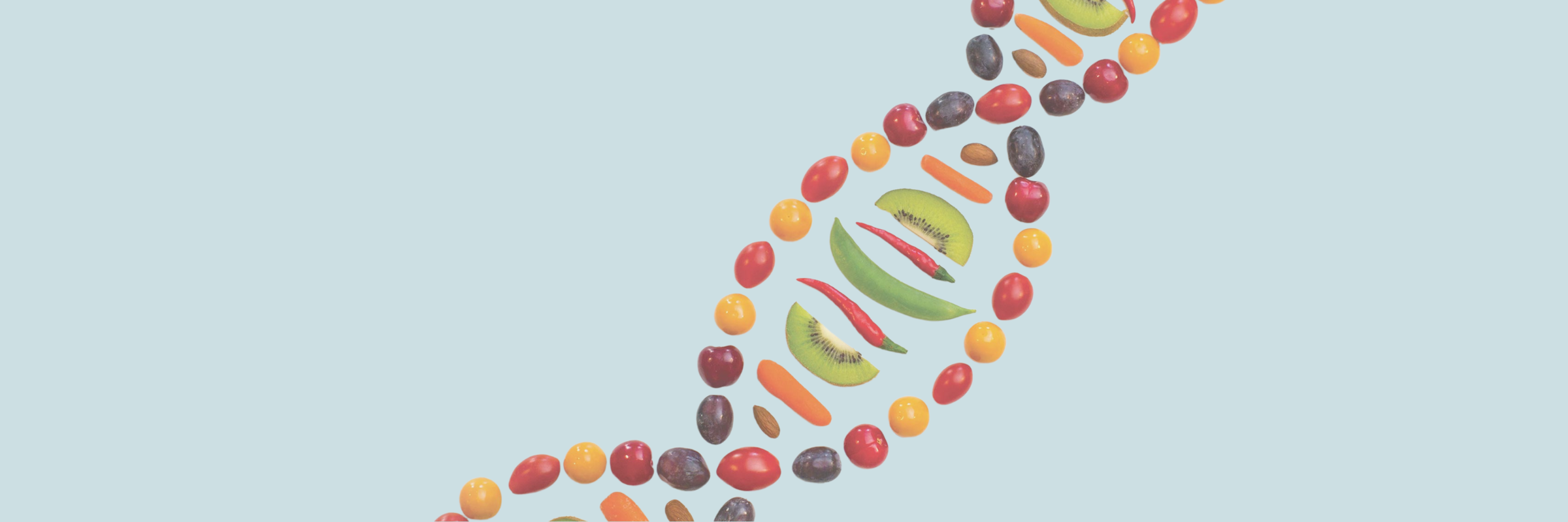Introduction to nutrigenomics and personalised nutrition - PrimeSelf blog
