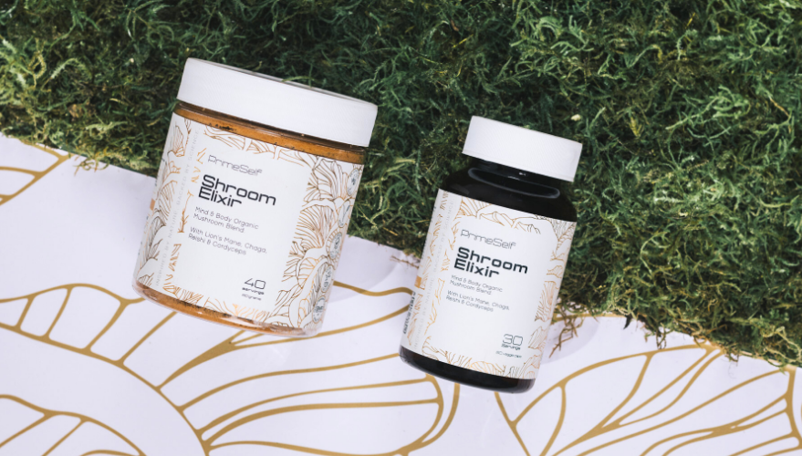 Medicinal mushrooms explained - functional fungi guide - PrimeSelf blog