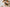 Image of PrimeSelf Keto Adaptogen Hot Cocoa