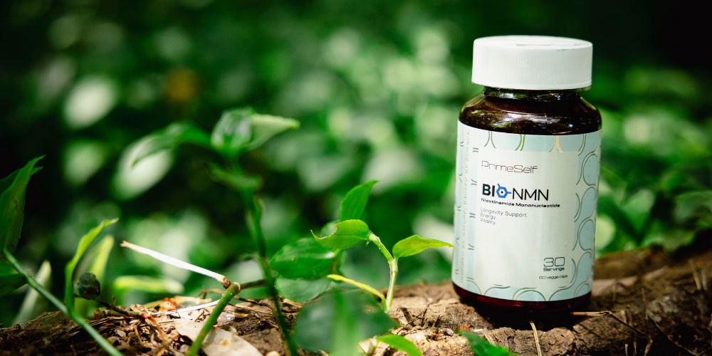 The Longevity Revolution: Top Compounds Changing the Way We Age