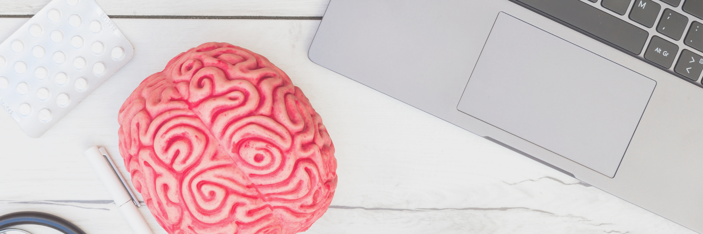 Nootropics 101 - introduction to nootropics guide - PrimeSelf blog