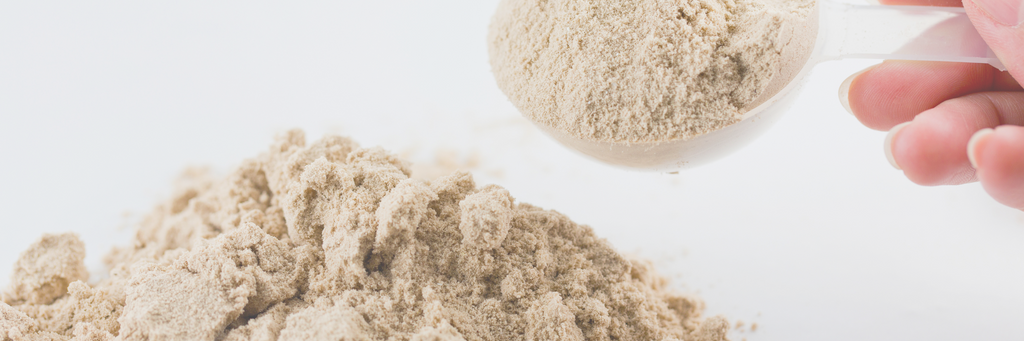 Why Grass-Fed Whey Protein is the Better Option for your Health