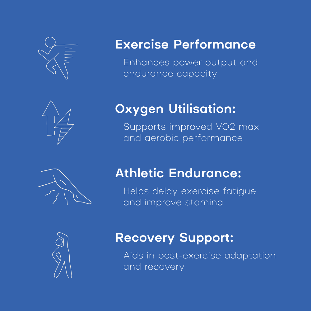 Blue background with white text and icons about exercise performance, oxygen utilisation, athletic endurance, and recovery support.