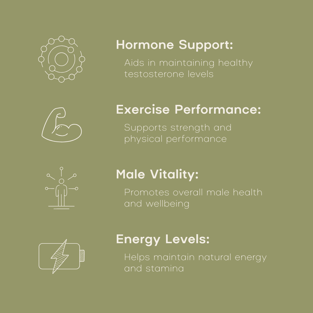 Fadogia Agrestis - male hormone support benefits infographic - PrimeSelf