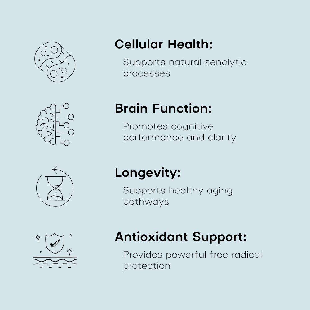 Fisetin - cellular health and cognitive benefits infographic - PrimeSelf