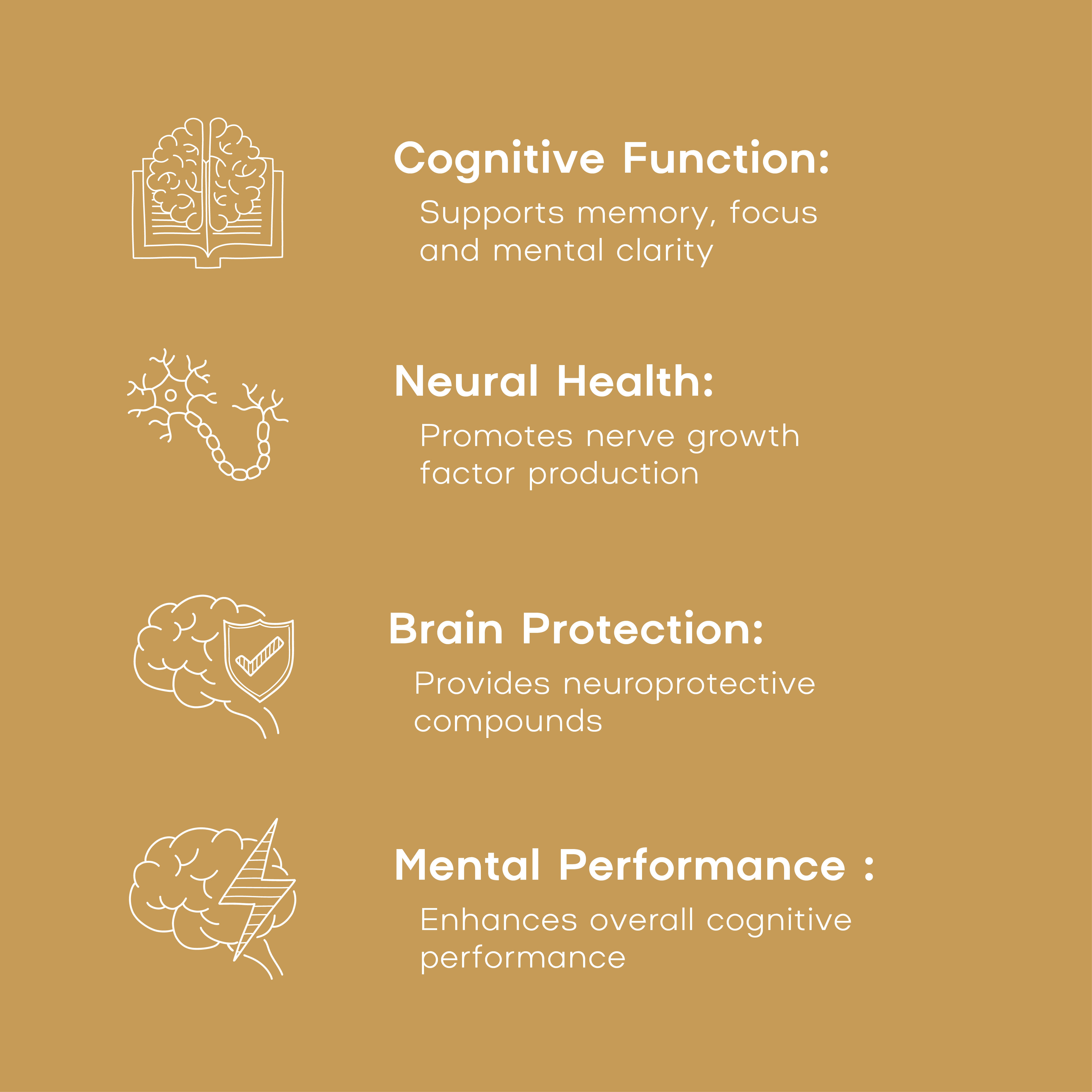 Illustrations of brain icons with text on a brown background about cognitive function, neural health, brain protection, and mental performance.