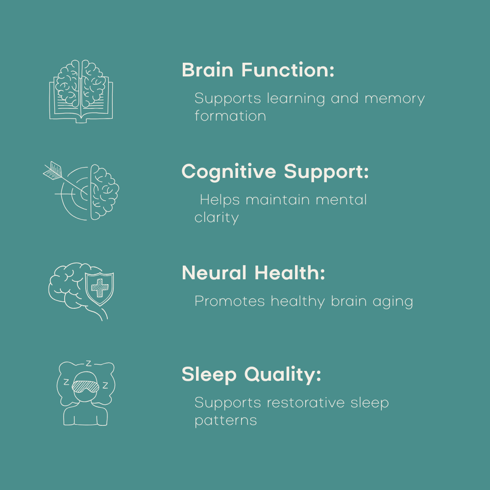 List of brain health benefits with icons on a teal background