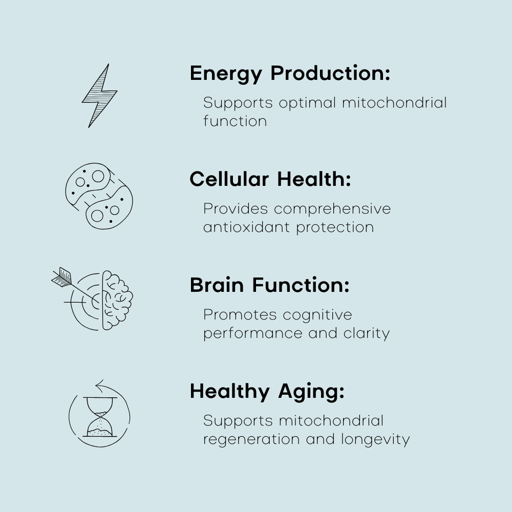 Chart detailing the benefits of a supplement or dietary component on energy production, cellular health, brain function, and healthy aging.