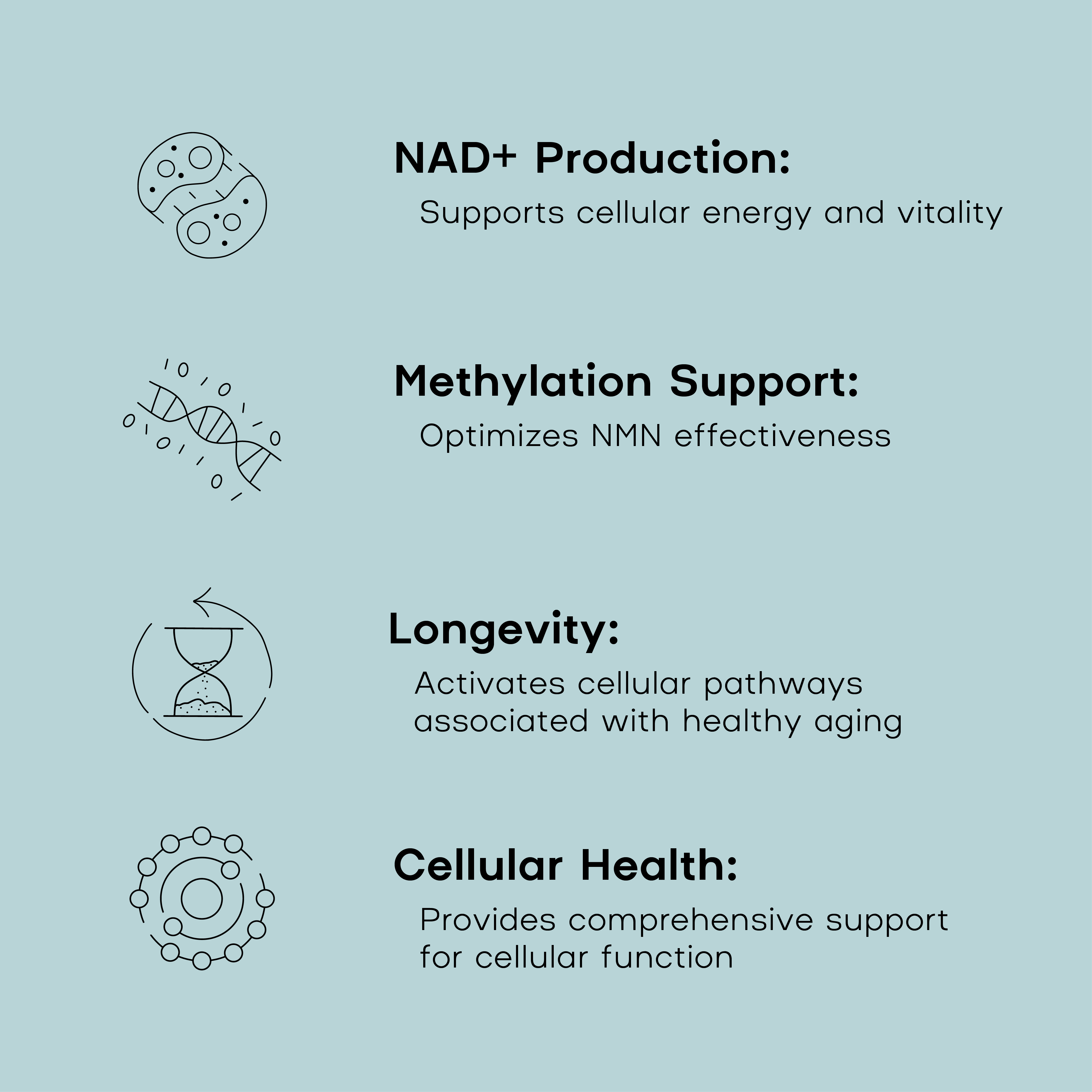 Diagram of NAD+ production, methylation support, longevity, and cellular health on a light blue background.
