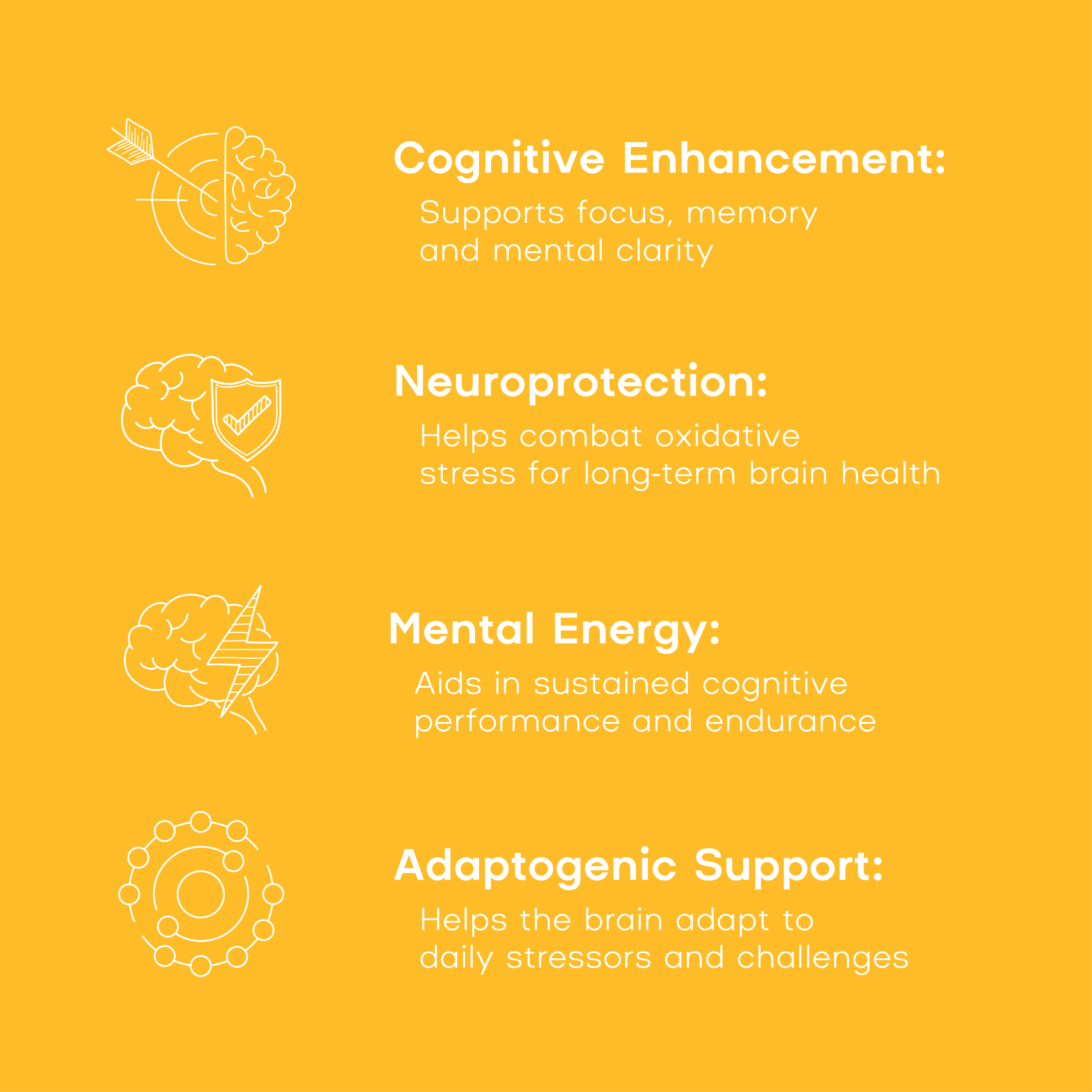 Prime Mind - brain health supplement overview - PrimeSelf