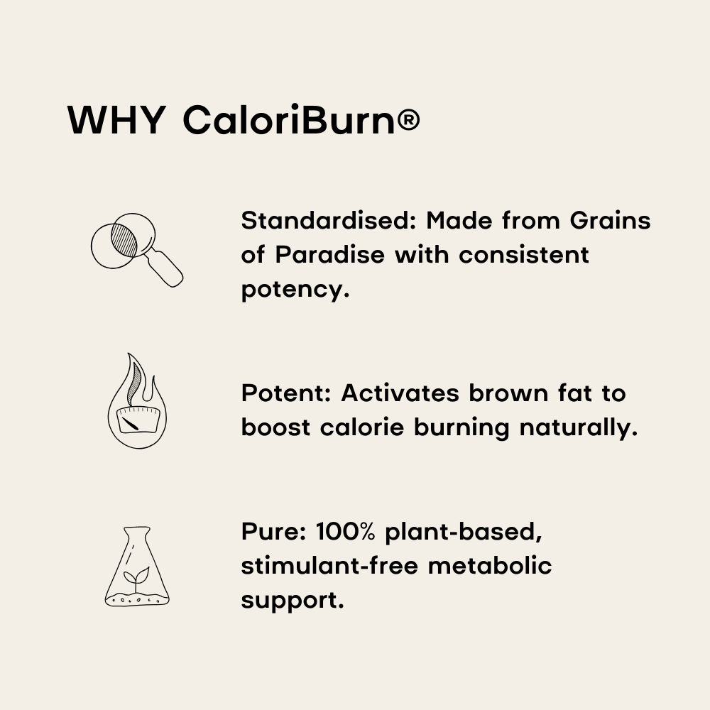 Explanation of CaloriBurn's features with icons and text on a white background