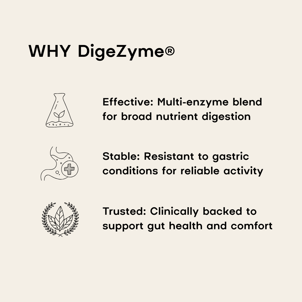 Explanation of why DigeZyme is effective, stable, and trusted for digestive health.